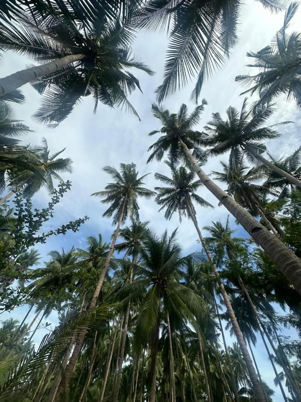 Efrena Agro Tourism Beach El Nido Buitenkant foto