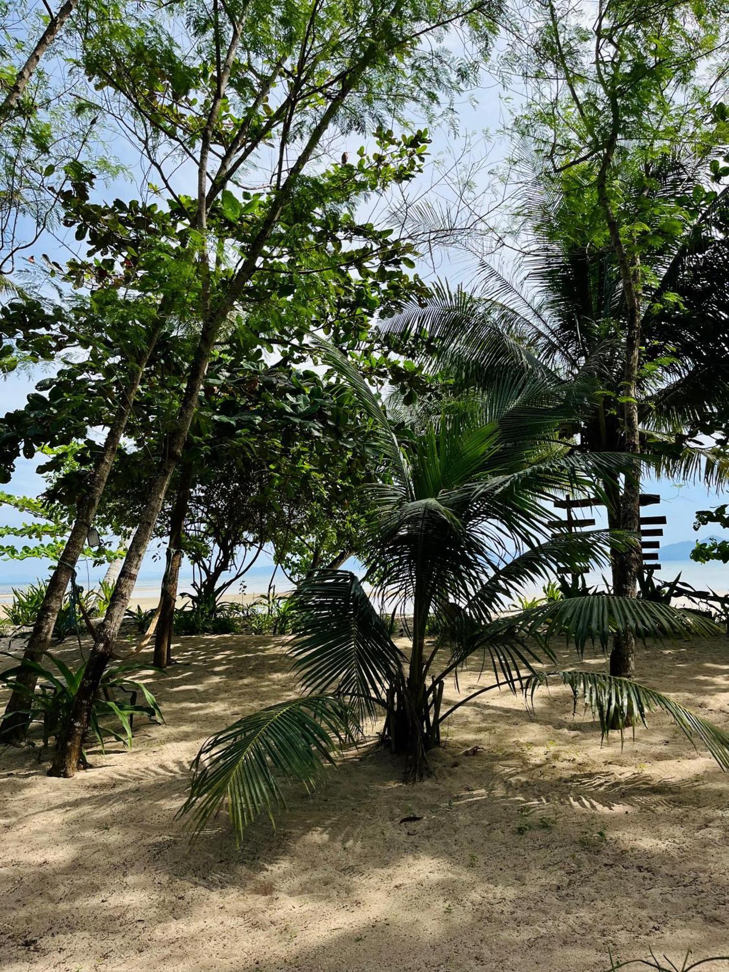 Efrena Agro Tourism Beach El Nido Buitenkant foto