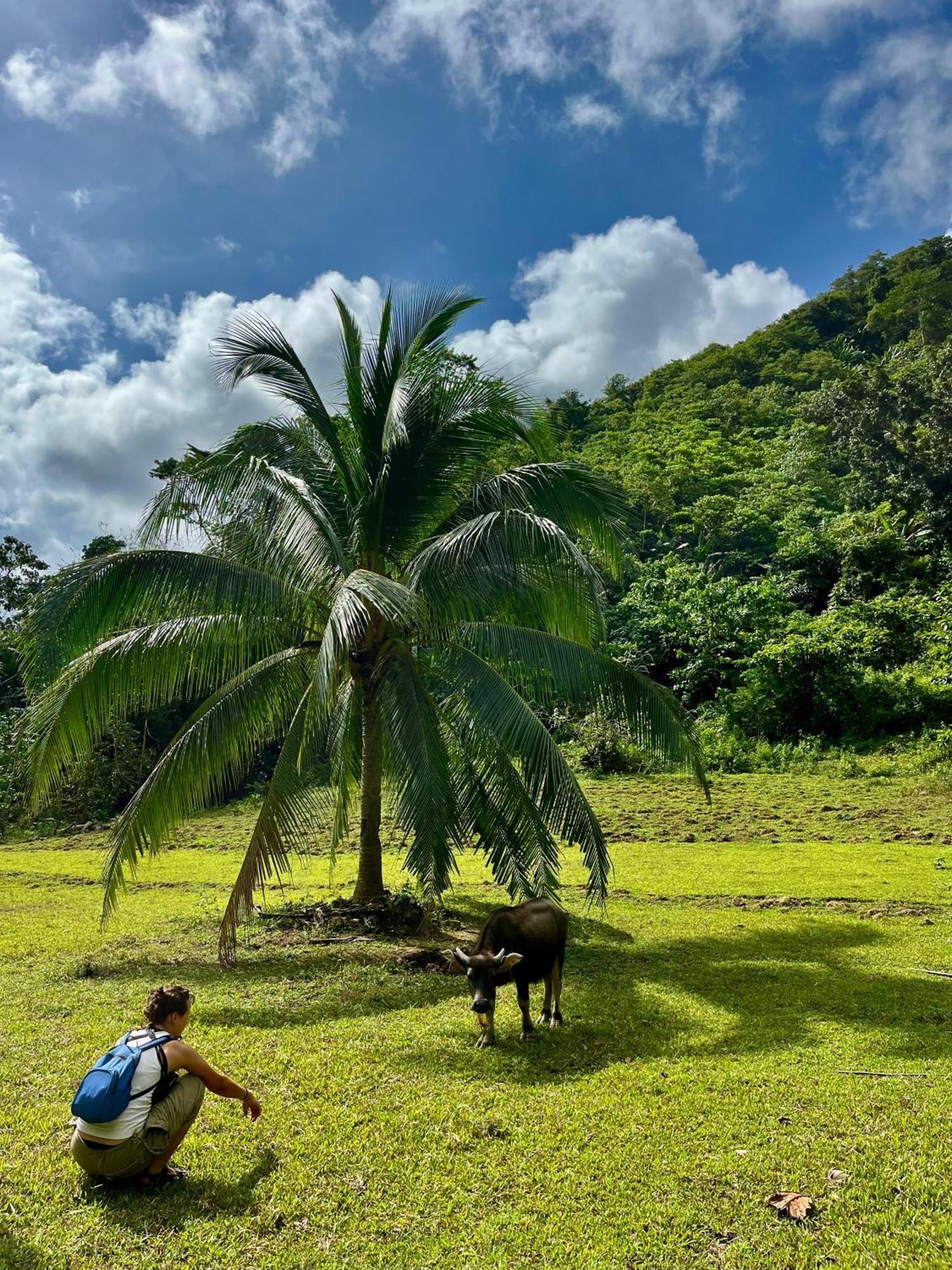 Efrena Agro Tourism Beach El Nido Buitenkant foto