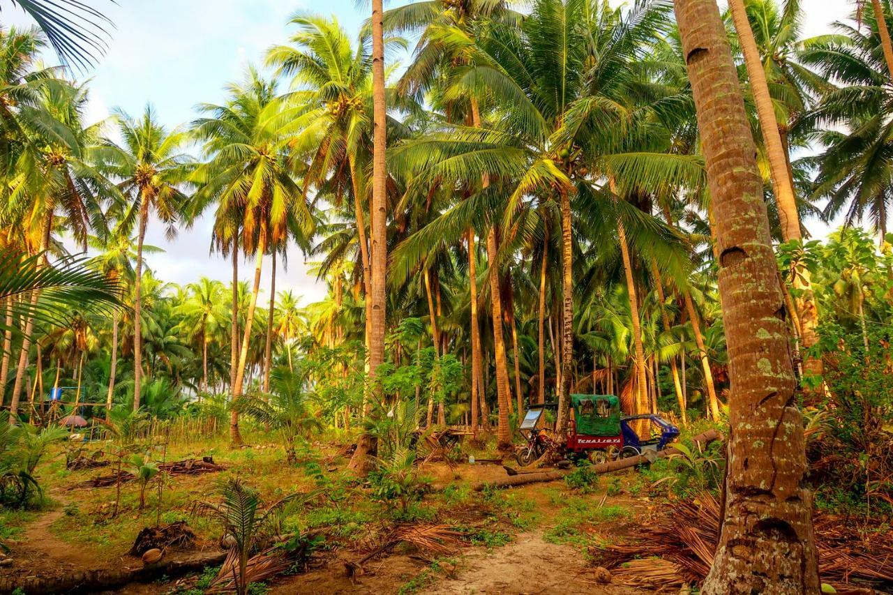 Efrena Agro Tourism Beach El Nido Buitenkant foto